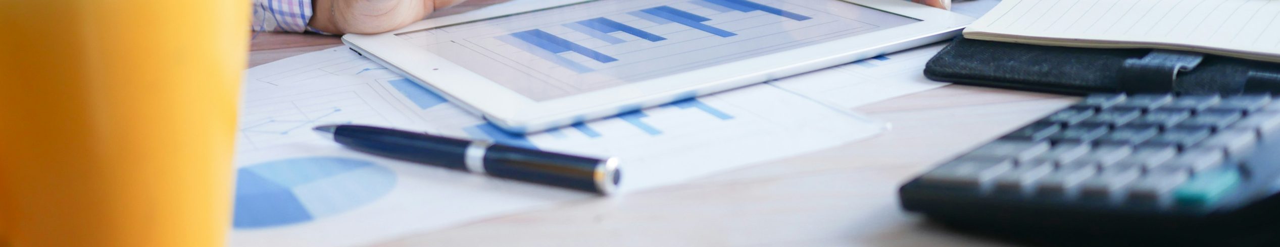 Annual Report Banner